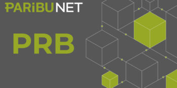 Paribu’nun Kullanıma Sunduğu PRB Coin Nedir, Güvenilir Mi?