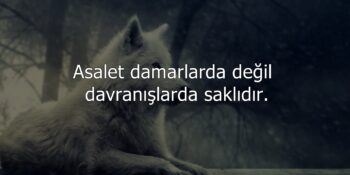 Asalet sözleri ana görsel