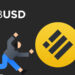 ABD Dolarına Sabitlenmiş Kripto Para Birimi Olan BUSD Güvenilir Mi?