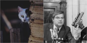 Casus Kedilerden Zihin Kontrolüne: Amerika Birleşik Devletleri Tarafından Hayata Geçirilen 8 “Gizli” Operasyon