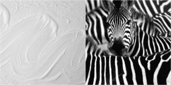 Beyaz Renk Hakkında Muhtemelen Daha Önce Duymadığınız 13 Şaşırtıcı Gerçek