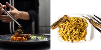 Böcek Yemek Teşvik Ediliyor! Böcekler Gıda ve İklim Krizine Karşı Etkili Bir Çözüm Olabilir Mi?