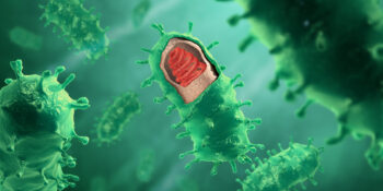 Türkiye’nin Gündeminden Düşmüyor: Kuduz Hastalığı Nedir, Tedavisi Var Mı?