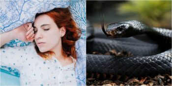 Google Verileri En Sık Görülen Rüyaları Ortaya Koydu: Türkler Rüyasında En Çok Yılan Görüyor