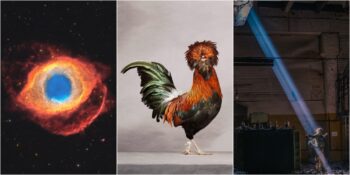 Fotoğraflarla 2022: Tüm Dünyadan Görsel Şölen Niteliğinde Yılın En İyi 50 Fotoğrafı