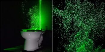 Bilim İnsanları Açıkladı! Sifonu Çekmeden Önce Neden Klozet Kapağını Kapatmalısınız?