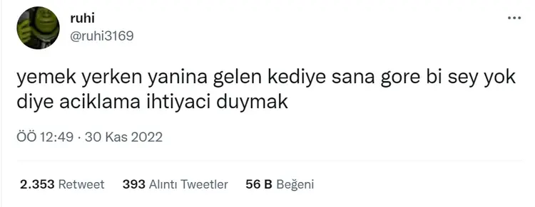 tweetleri
