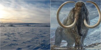 Buzul Çağı Hakkında Muhtemelen Daha Önce Duymadığınız 13 Şaşırtıcı Gerçek