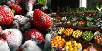 Sebze ve Meyvelerin Raf Ömrünü Uzatmak İçin Neler Yapılıyor?