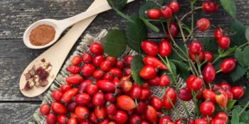 Şifa Kaynağı Kuşburnu Ne İşe Yarar, Vücuda Faydaları Nelerdir?