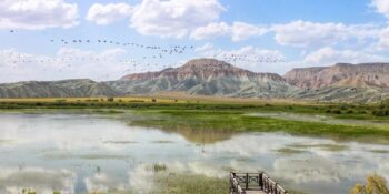 Nallıhan Kuş Cenneti