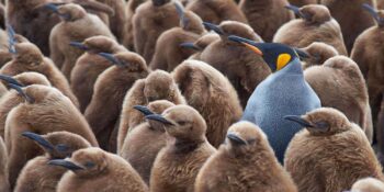 Farklı Bir Yaşam Mümkün! Hayata Dair Farkındalığınızı Artırmak İçin Uygulayabileceğiniz 18 Yöntem
