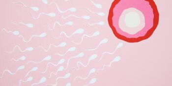 Dünya Çapında En Az 550 Çocuğu Olan Hollandalı Sperm Bağışçısı: Jonathan M.