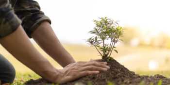 Her Yıl 22 Nisan’da Kutlanan Dünya Günü Hakkında 9 Büyüleyici Gerçek