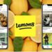 TikTok’a Alternatif Olabilir Mi? Lemon8 Uygulaması Hakkında Bilmeniz Gerekenler