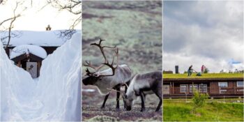 Norveç Hakkında Muhtemelen Daha Önce Duymadığınız 10 İlginç Bilgi