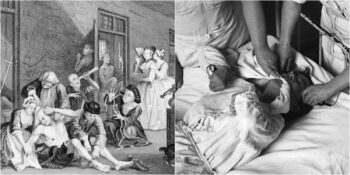 Tecrit ve İşkenceden Modern Bilime: Akıl Hastanelerinin Tarihsel Gelişimi