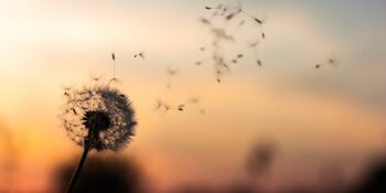 Partnerinizi Sevseniz De İlişkinizi Bitirmenize Neden Olabilecek 5 Geçerli Sebep