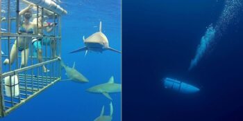 Uzmanlar Açıklıyor: Neden Zenginler Tehlikeli Aktiviteler Yapmaktan Hoşlanır?