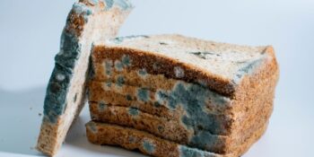 Küflenmiş Bir Yiyecek Yenir Mi? Yanlışlıkla Küf Yerseniz Ne Olur?