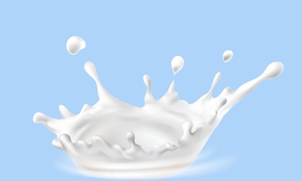 Süt Hakkında