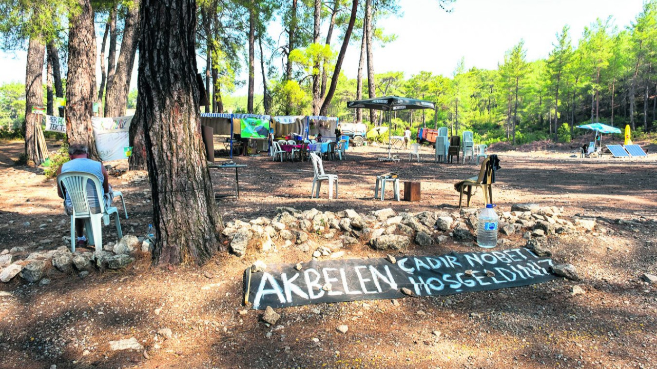 akbelen ormanı