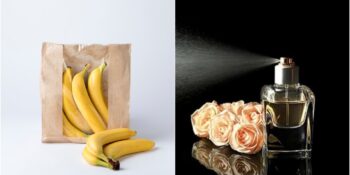 Bilim İnsanları Açıkladı: Sivrisineklerden Korunmanın 6 Etkili Yolu