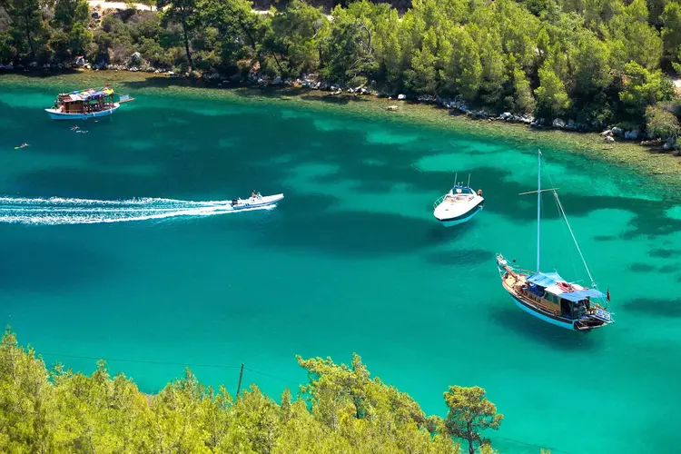Mavi Tur nedir