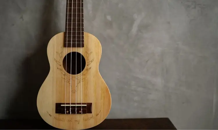  Ukulele nedir 
