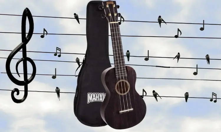  Ukulele nedir 