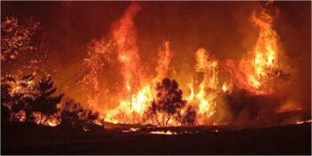 Yine Ciğerlerimiz Yandı! Çanakkale’deki Orman Yangınını Söndürme Çalışmaları Devam Ediyor