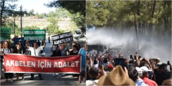 Ağaç Kesimi Durdu Mu? Akbelen Ormanı’nda Son Durum Ne?