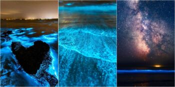 Büyüleyici Güzelliğiyle Görenleri Kendisine Hayran Bırakan Doğa Harikası: Yıldızlar Denizi