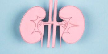 Böbrek Hastalıklarında Beslenme Düzeni Nasıl Olmalıdır, Nelere Dikkat Edilir?