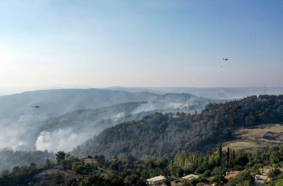 çanakkale orman yangını