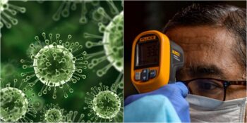 Yarasaların Taşıdığı Son Derece Bulaşıcı Ve Ölümcül Virüs: Nipah