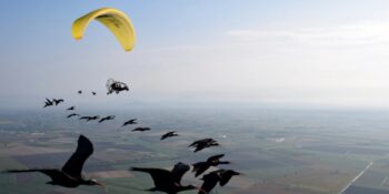 Johannes Fritz: Nesli Tükenmekte Olan Kuşlara Yeni Göç Güzergâhları Öğreterek Onları Yok Olmaktan Kurtaran Biyolog