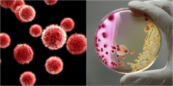 Covid-19 Pandemisinin Ardından Çığ Gibi Büyüyen İlginç Topluluk: Mikrop İnkârcıları