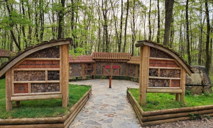 Ormanya Ormanya Tabiat Parkı: Nasıl Gidilir, Neler Yapılır? | ListeList.com