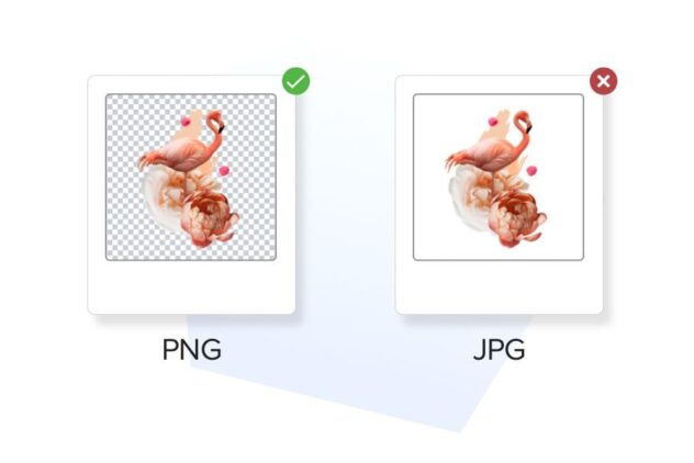 JPEG Ve PNG Nedir? Hangi Görüntü Formatını Kullanmalısınız?