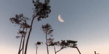 Haftalık Burç Yorumları: 13-19 Kasım Haftasında Sizi Neler Bekliyor?