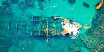 Dinozor Çenesinden Devasa Legolara! Şimdiye Kadar Karaya Vuran En Tuhaf 16 Nesne