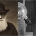 Charles Darwin’den Thomas Edison’a: Matematik Bilgisi Kötü Olan 6 Önemli Bilim İnsanı Ve Mucit