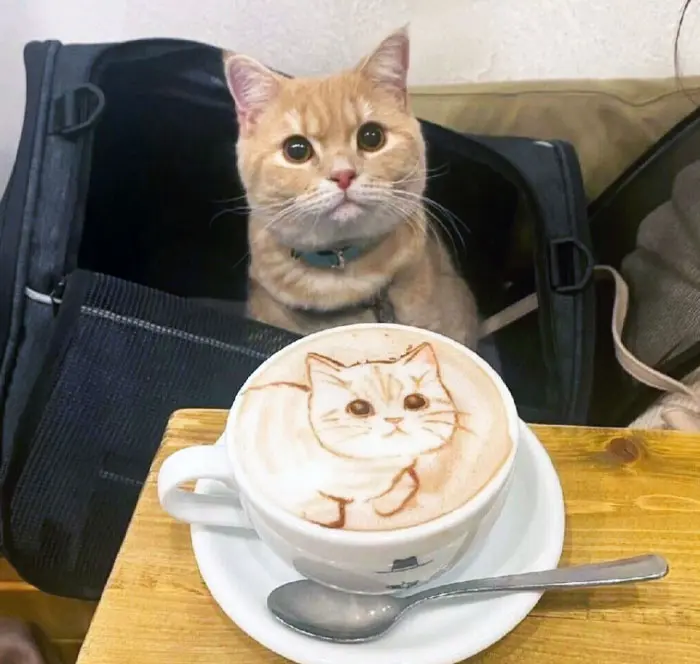 Latte art