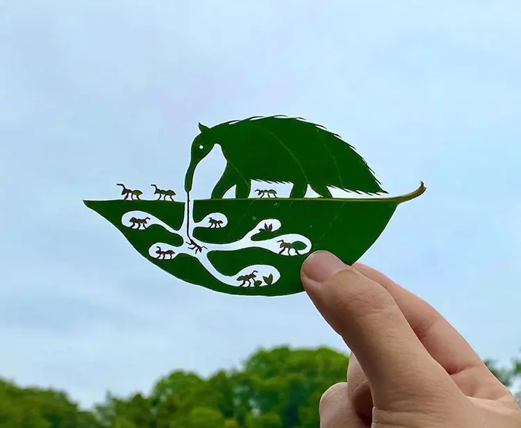 Lito Leaf art