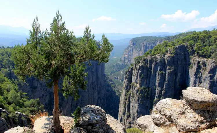 tazı kanyonu