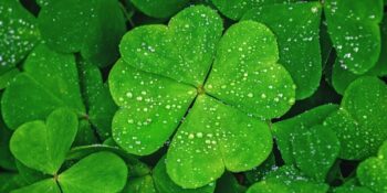 Bu Tarihleri Kaçırmayın! Burcunuza Göre 2024 Yılında En Şanslı Olacağınız Günler