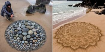 Plajda Bulduğu Taş Ve Kabukları Sanat Eserine Dönüştüren Sanatçı: Jon Foreman