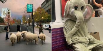 Romantizm Şehri Paris’e Bir De Böyle Bakın: Paris Metrosunda Çekilmiş Birbirinden Tuhaf 35 Fotoğraf