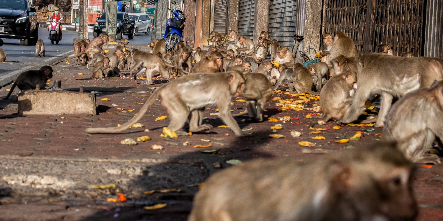 Utorrent dan rus porno Porno ertalab bekasi